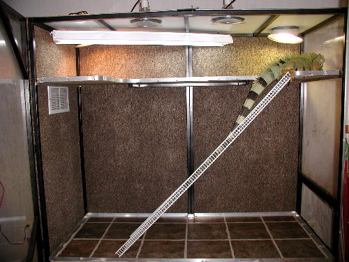 The Iguana Den - Iguana Housing - Cage Setup