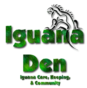 Iguana Den - Iguana Care, Keeping, & Community